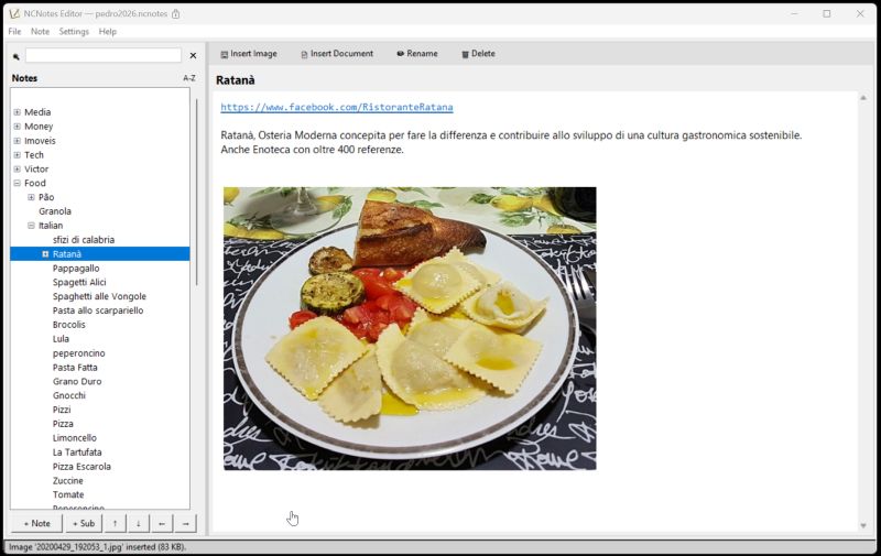 Interface do NCNotes no Windows